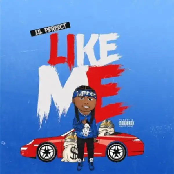 Instrumental: Lil Perfect - Like Me (Produced By TooCoolBeats)